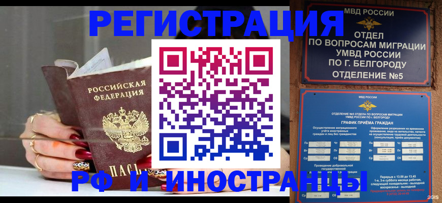 прописка в Киселёвске